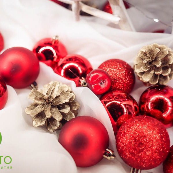 001874max-lepihin-89676517062-035-1516034755