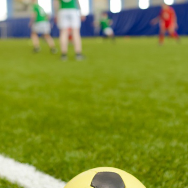 IMG-8135-kopiya-1489071157